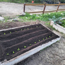 Raised Garden Bed Installation